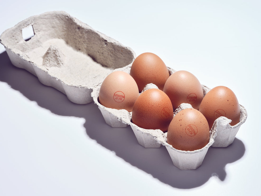 L’Eggstra : l’œuf surprise qui cache bien son jeu