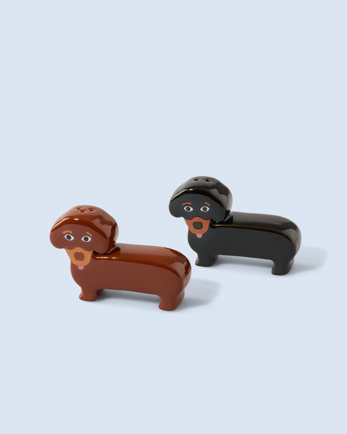 Salt & Pepper dog