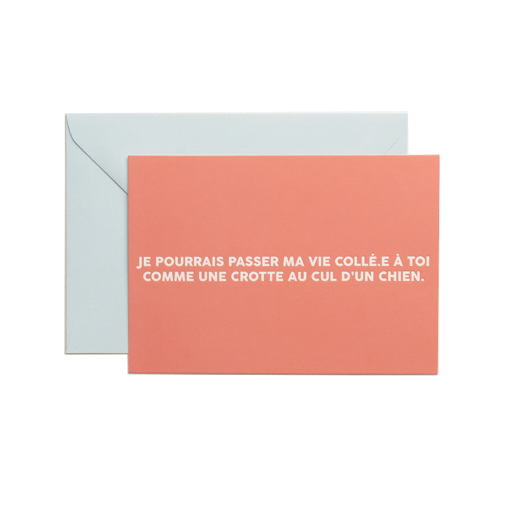 Carte postale - Je pourrais passer ma vie collé.e à toi comme une crotte au cul d'un chien.