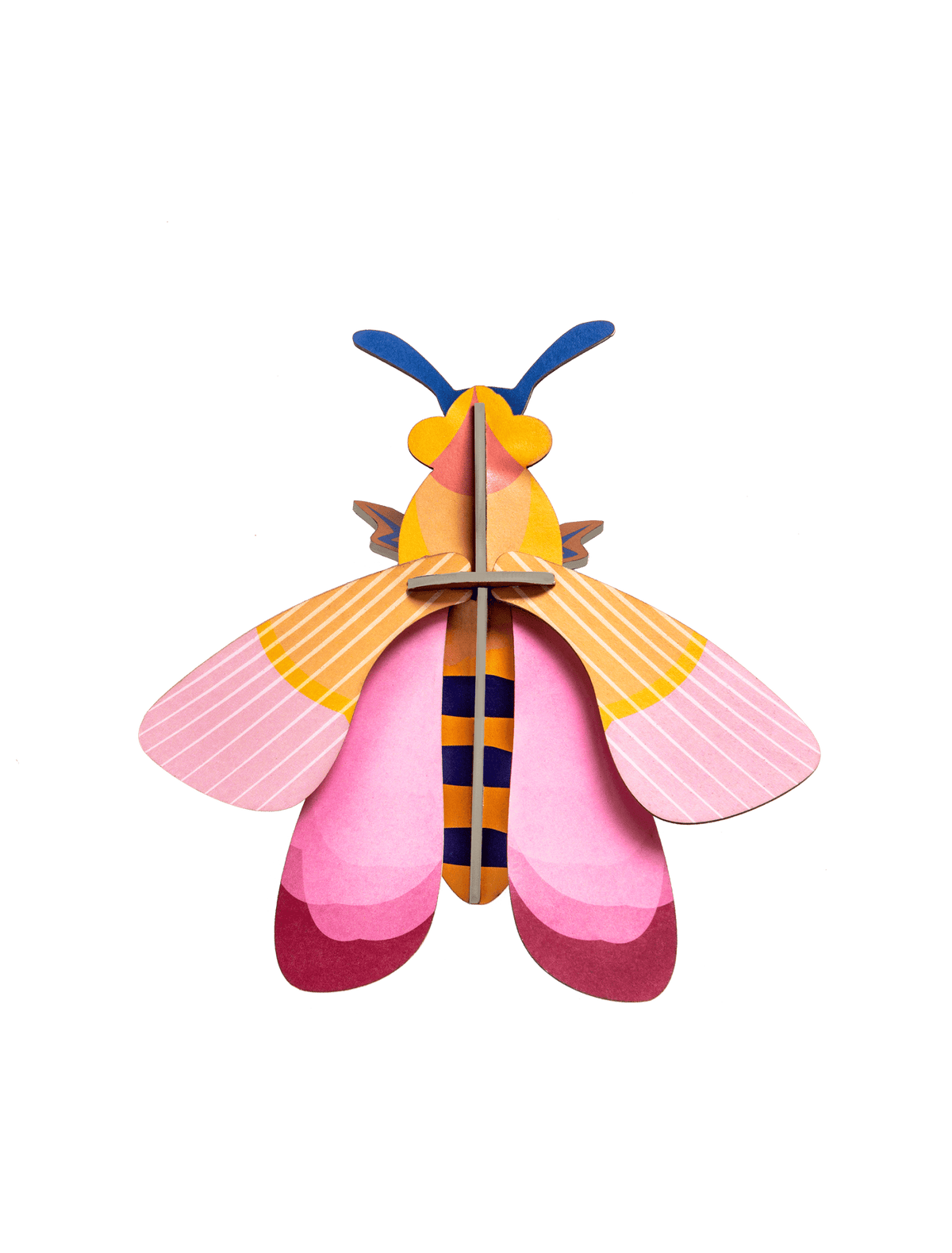 Small Insects - Pink bee