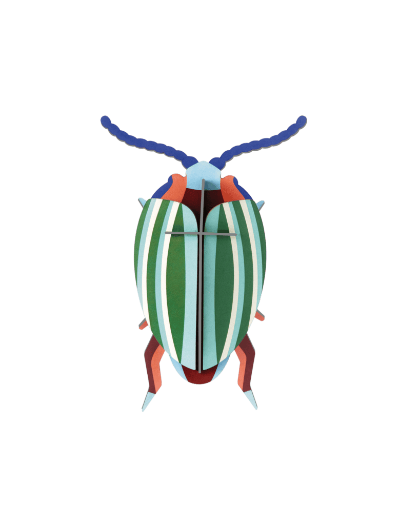Small Insects - Rainbow Leaf Beetle