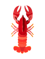 Big Sea Creature - Lobster