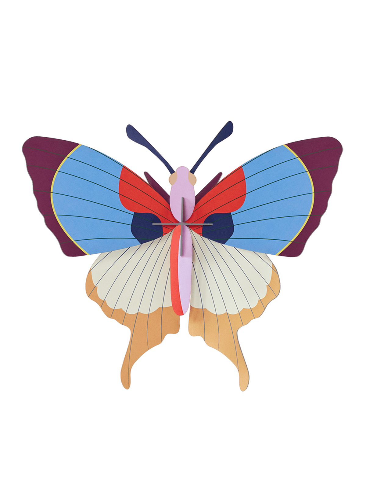 Gros insectes - Papillon ˆ franges de prunes