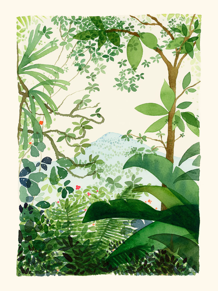 HELENE MONFORT - JUNGLE 40 X 50
