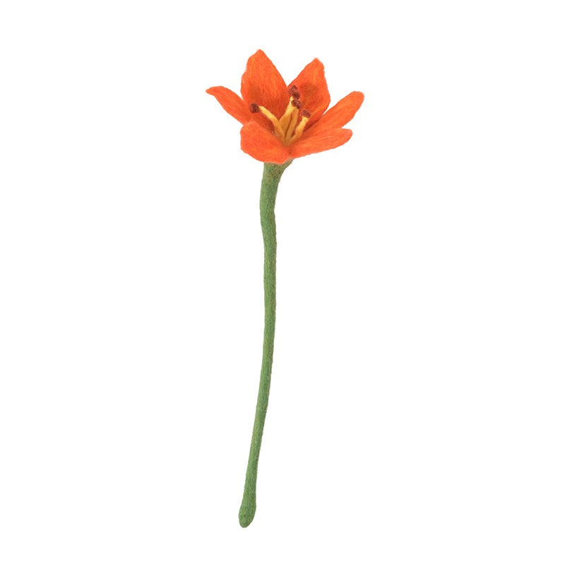 ENDLESS FLOWER, lily, coral