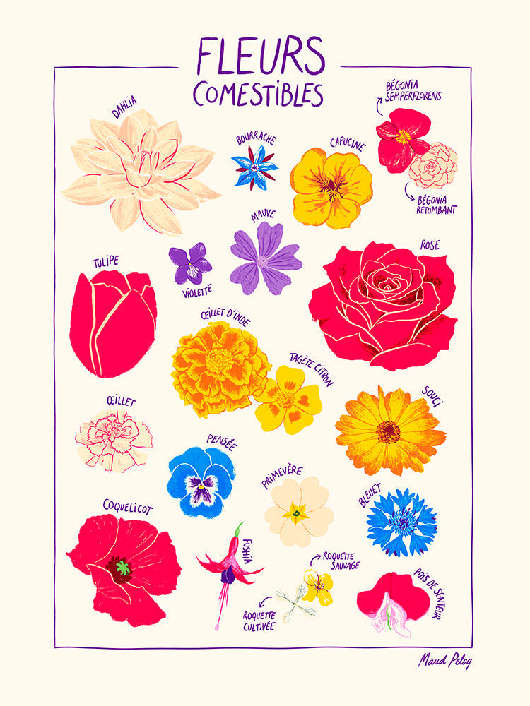 FLEURS COMESTIBLES MAUD PELOQ 30 X 40