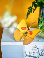 Petits insectes - Papillon jaune