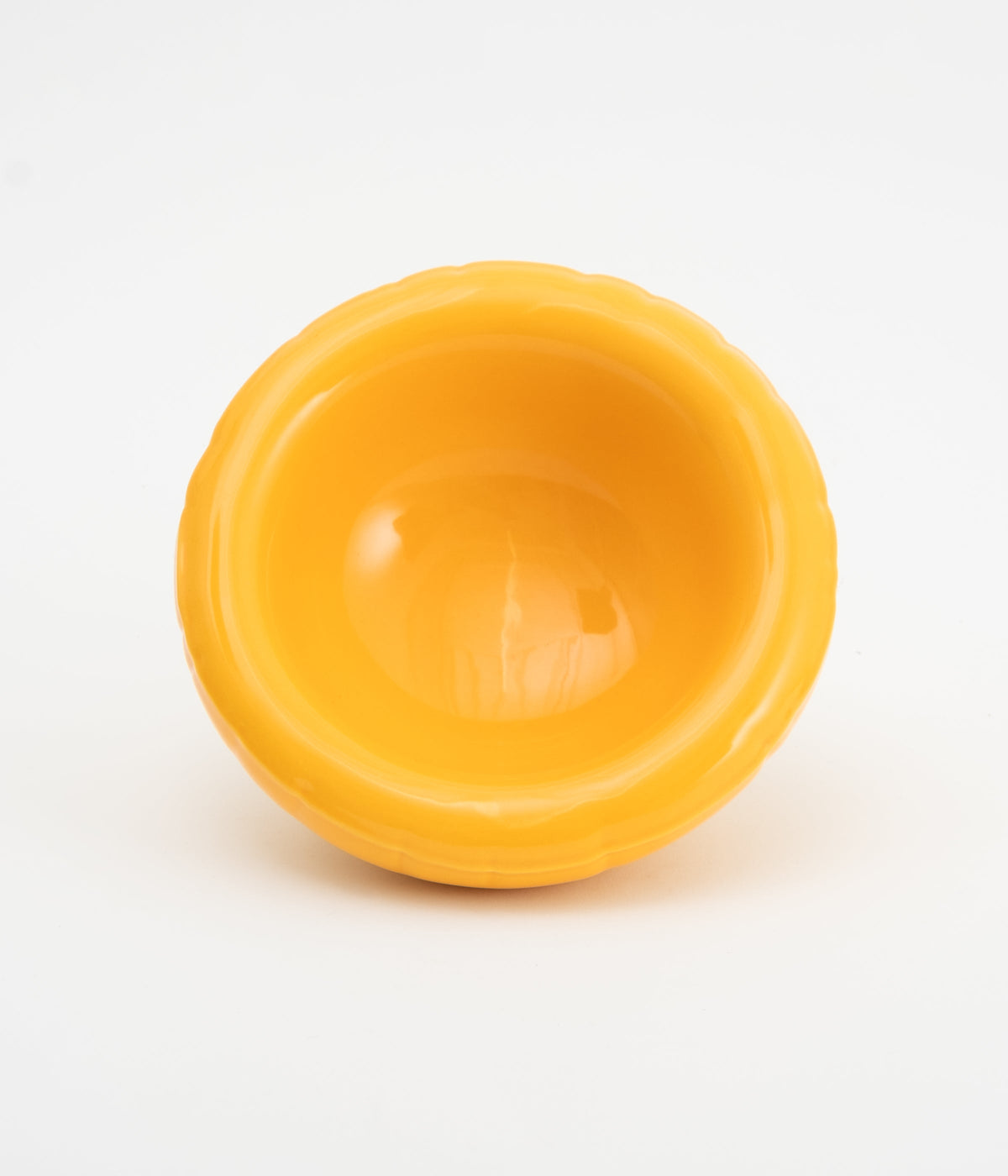 LISA Yolk Gloss