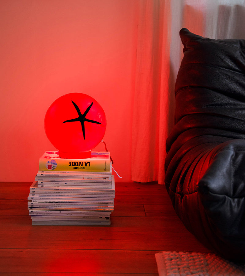 Lampe tomate à poser ou suspendre