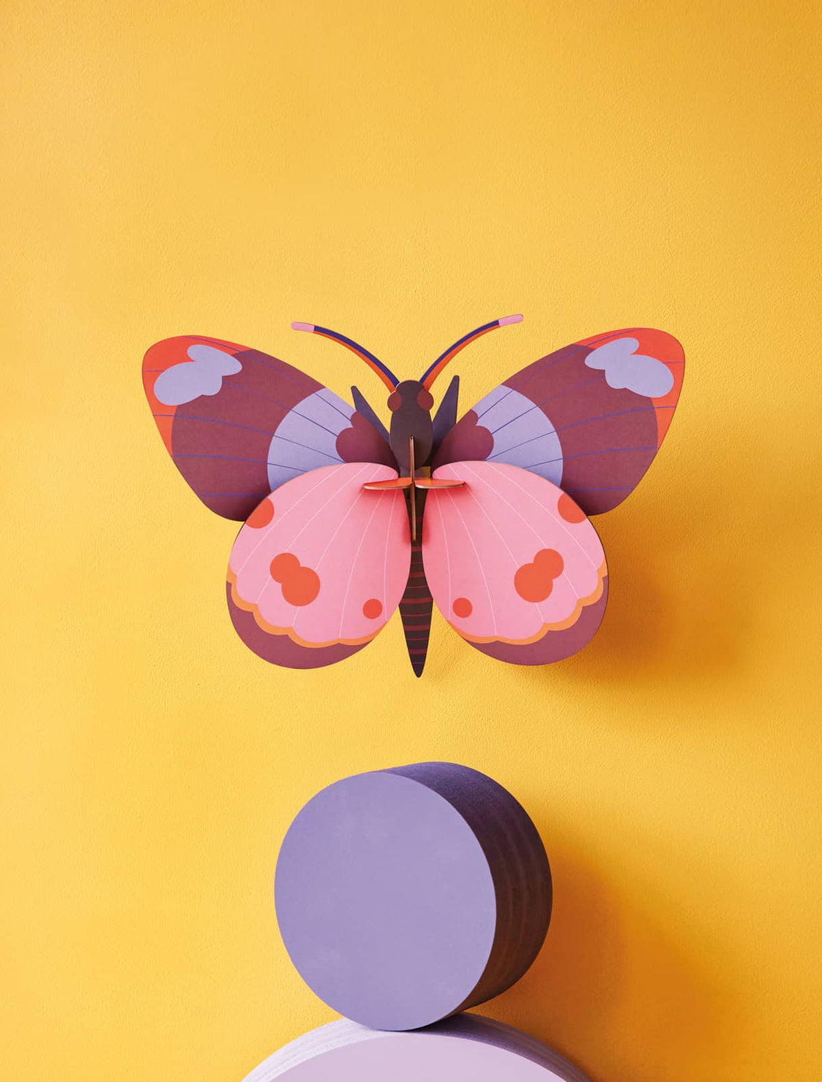 Gros insectes - Papillon bellissima