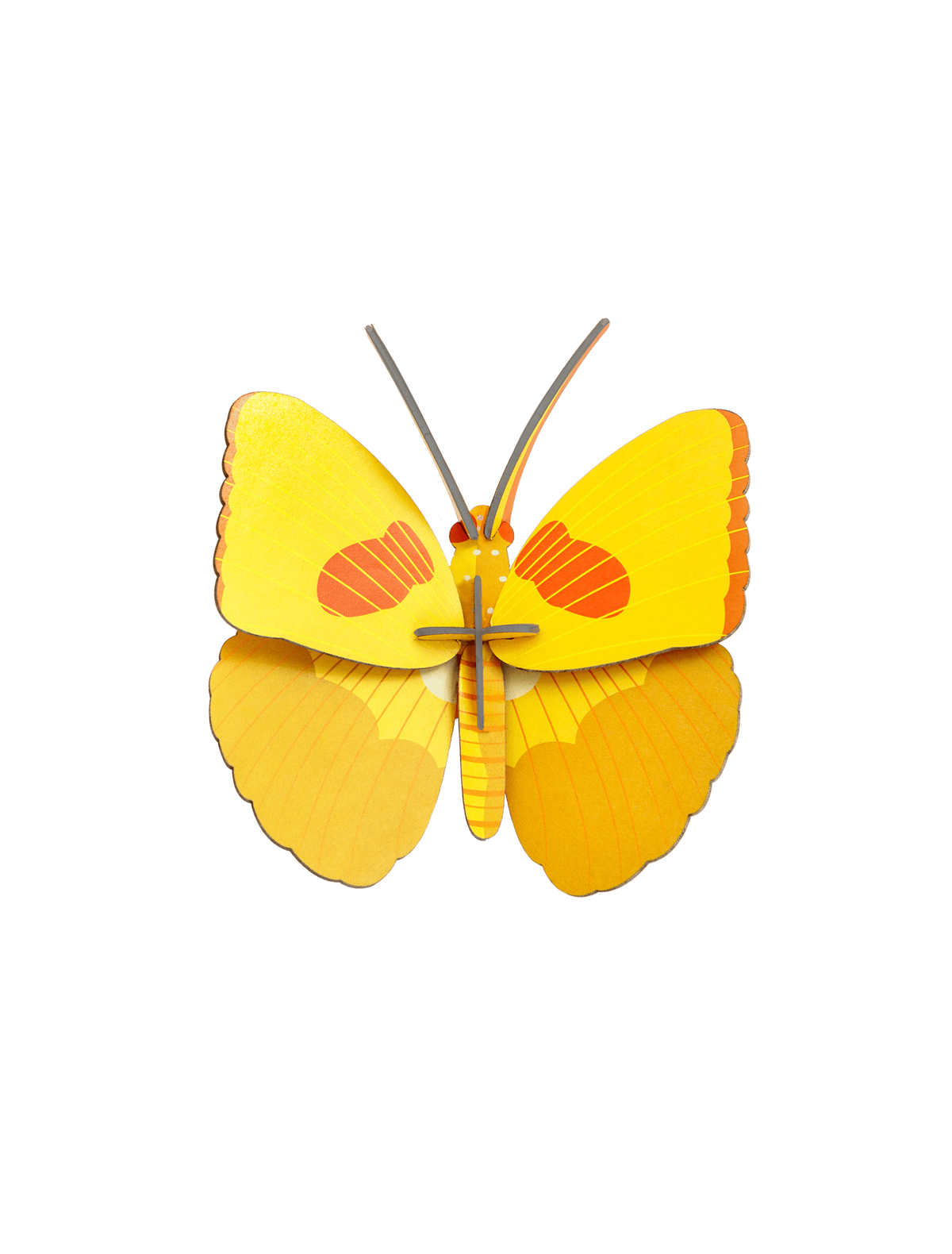 Petits insectes - Papillon jaune