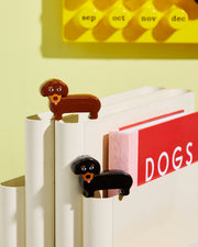 Salt & Pepper dog