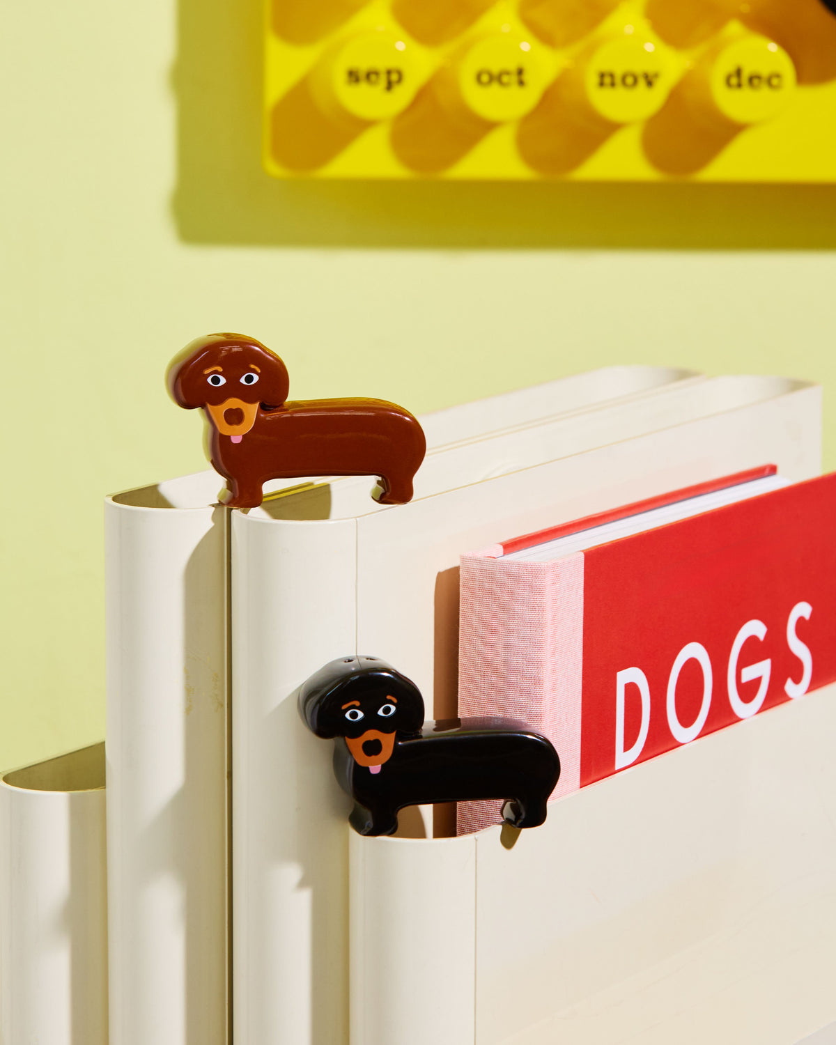 Salt & Pepper dog