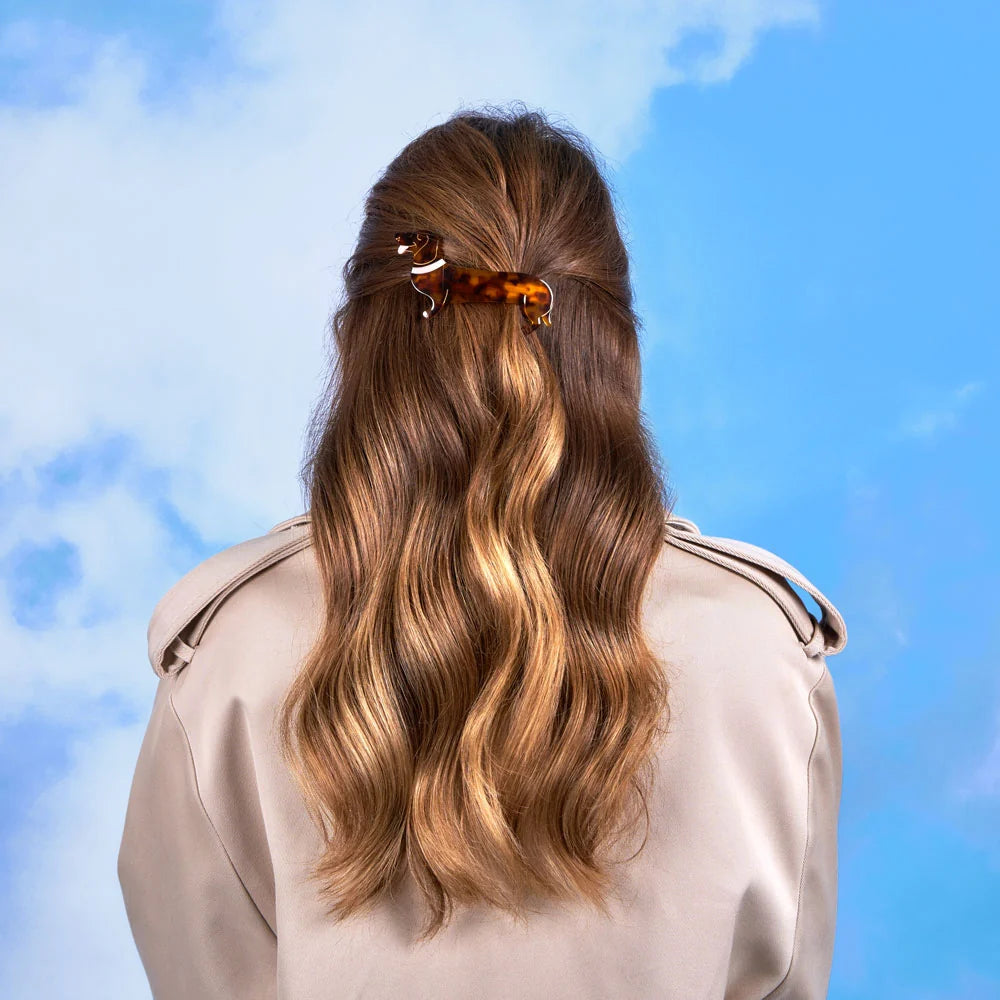 FRENCH Barrette Teckel