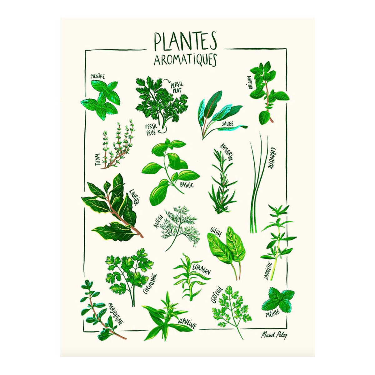 Plantes aromatiques maud peloq 50x70