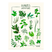 Plantes aromatiques maud peloq 50x70