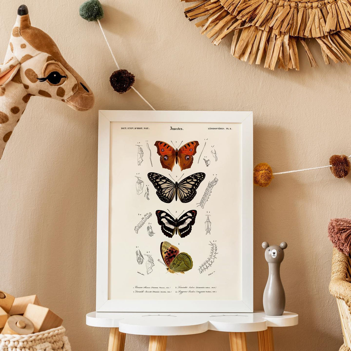 Papillon vanesse 40x50