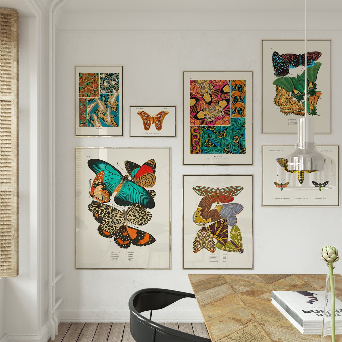 Papillon seguy pl11 40x50