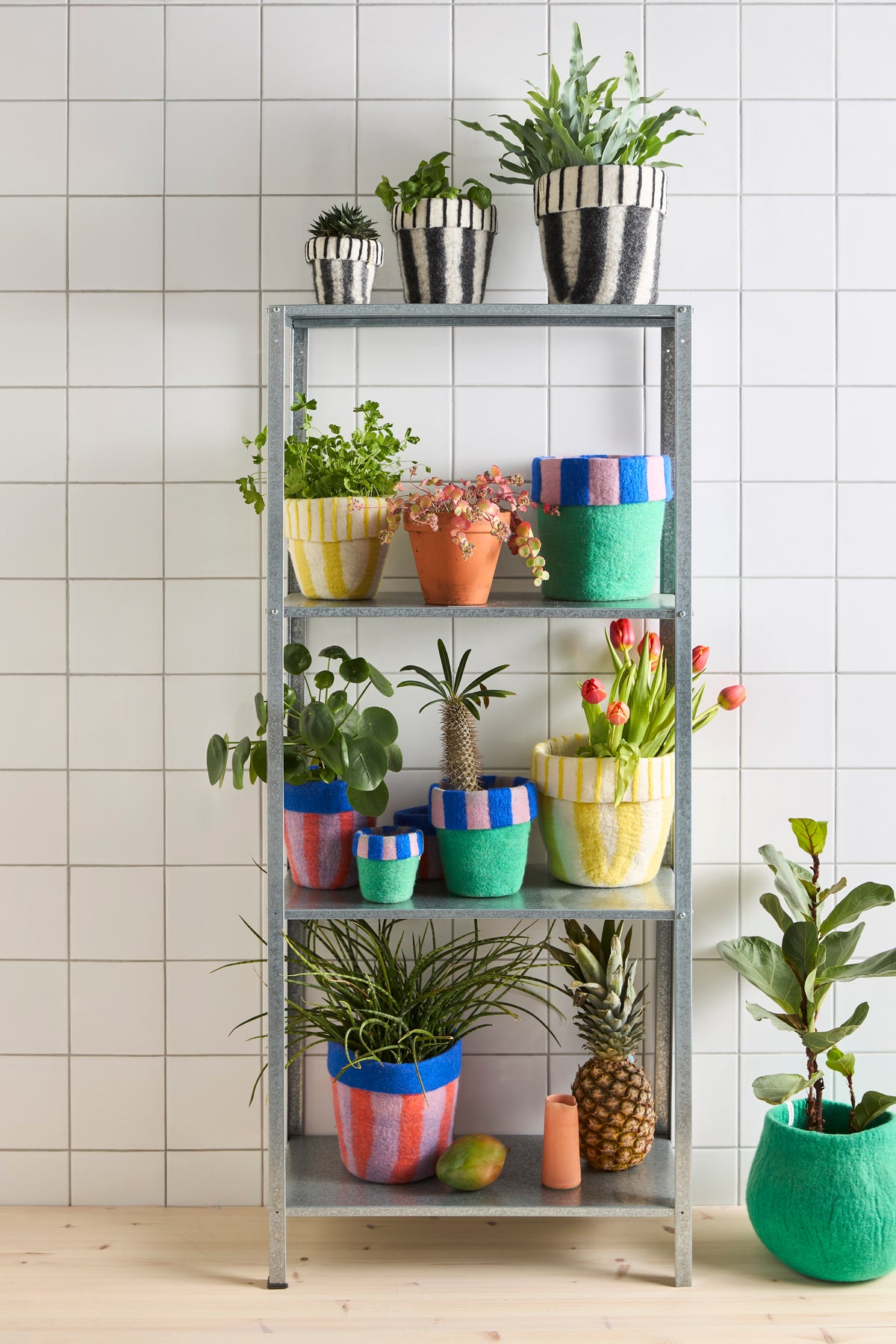 FLOWER POT 20, M, the circus