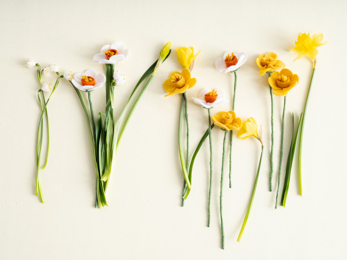ENDLESS FLOWER, DAFFODIL, yellow