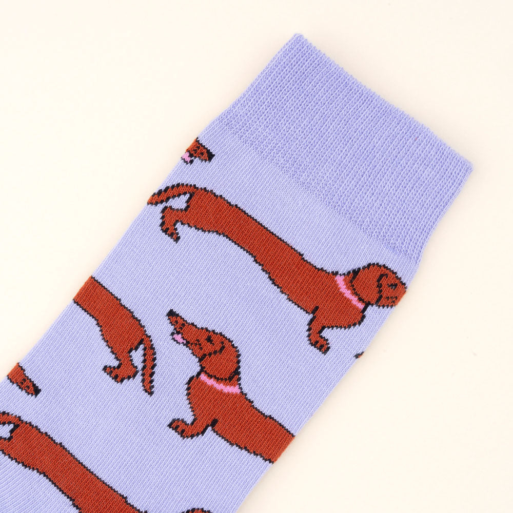 Chaussettes Teckel
