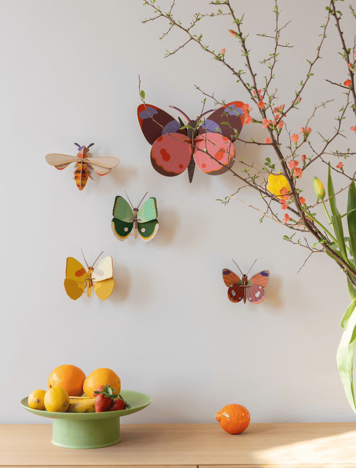 Gros insectes - Papillon bellissima