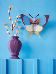 Gros insectes - Papillon ˆ franges de prunes