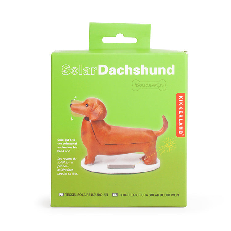 Solar dachshund teckel