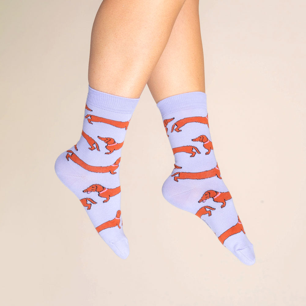 Chaussettes Teckel