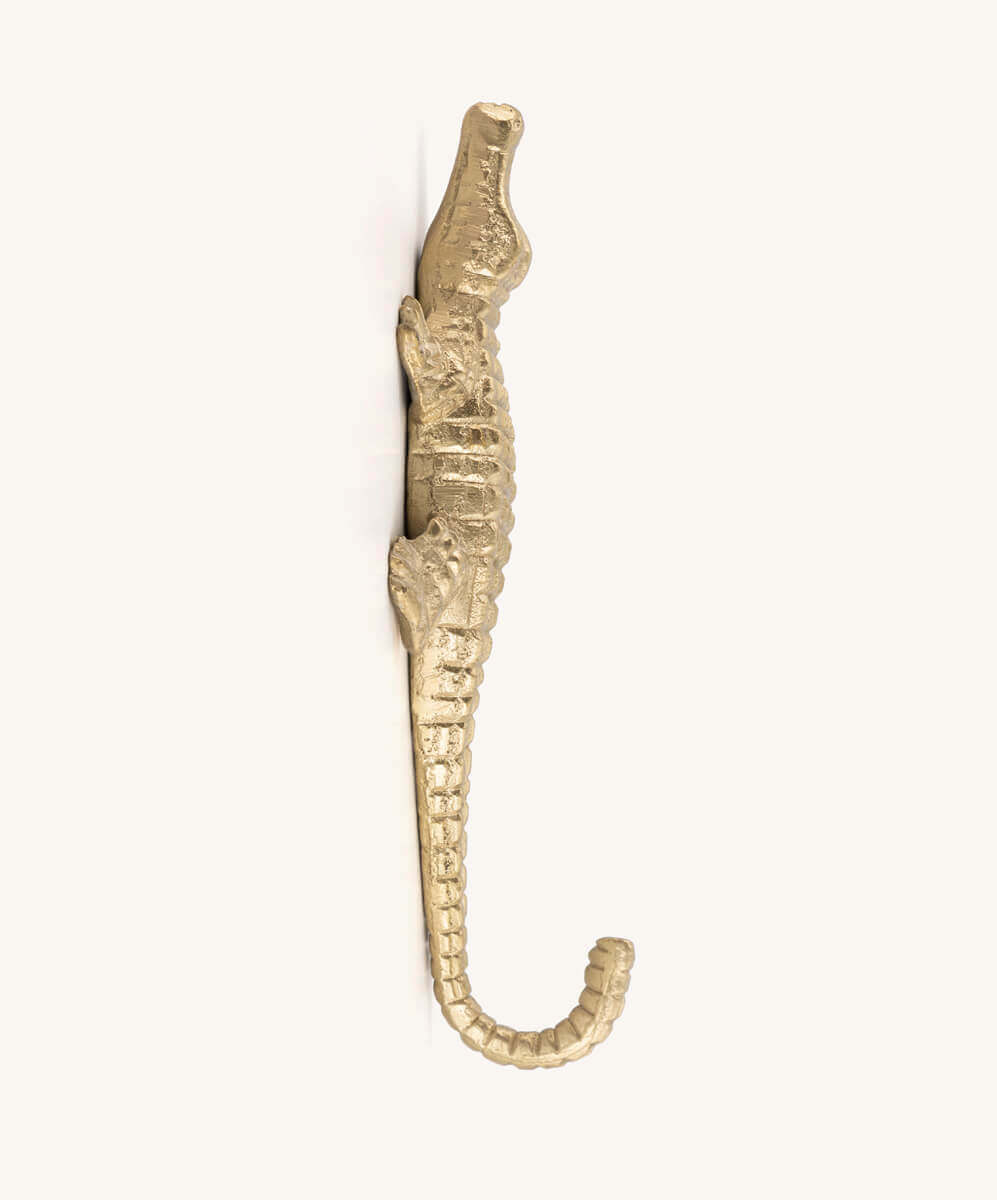 Crochet en forme de crocodile Chewy