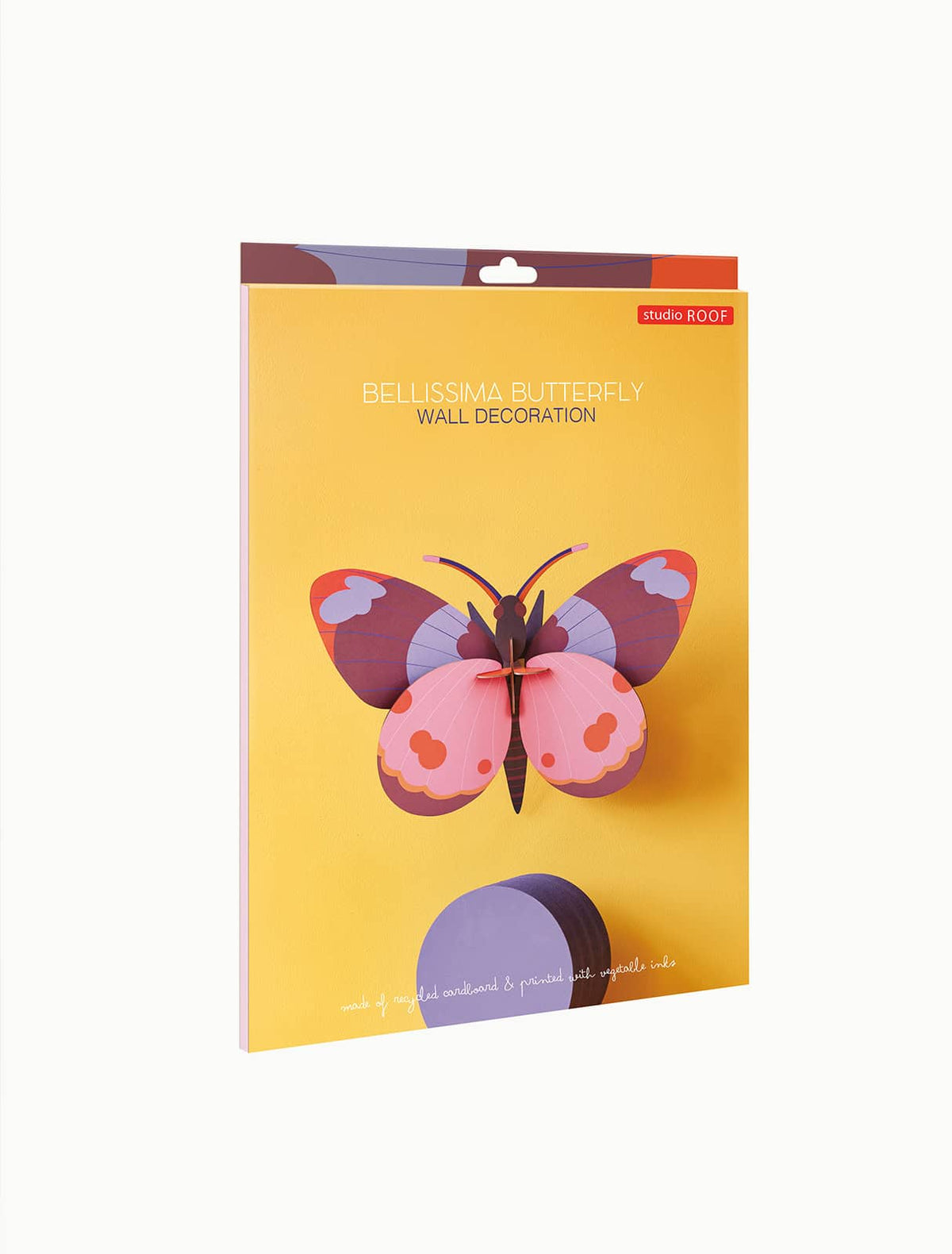 Gros insectes - Papillon bellissima