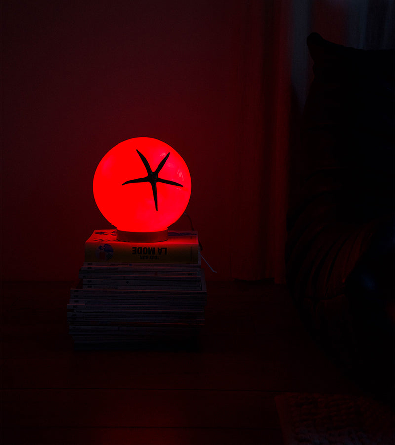 Lampe tomate à poser ou suspendre