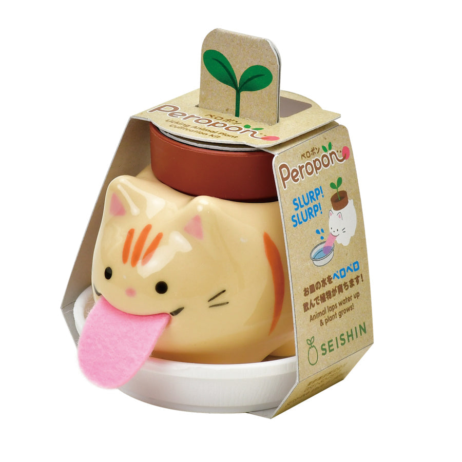 Peropon - chat basilic