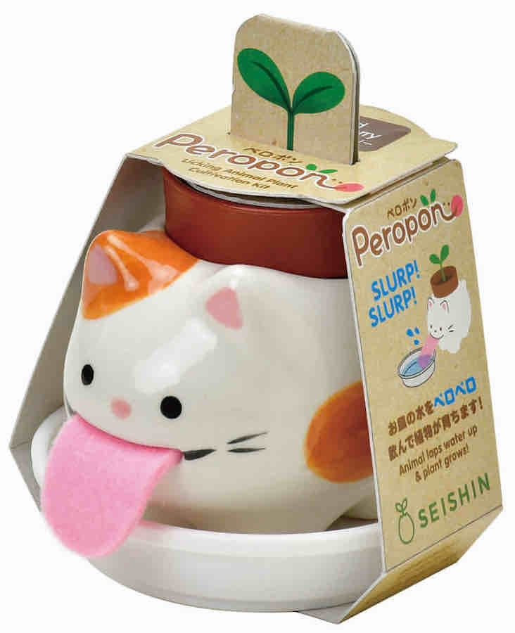 Peropon - chat basilic