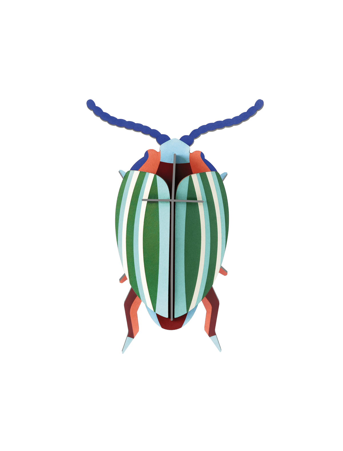 Small Insects - Rainbow Leaf Beetle