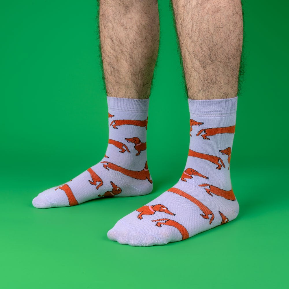Chaussettes Teckel