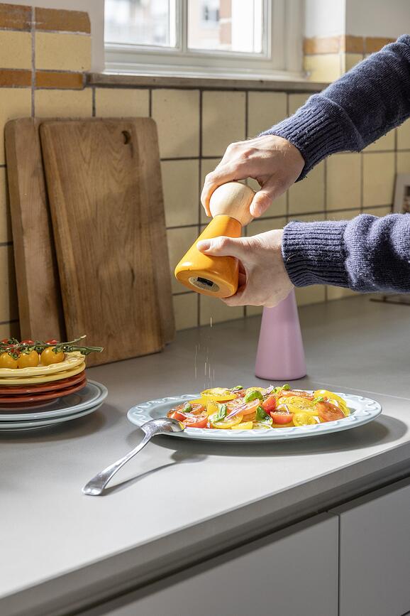 Salt & pepper halma small orange