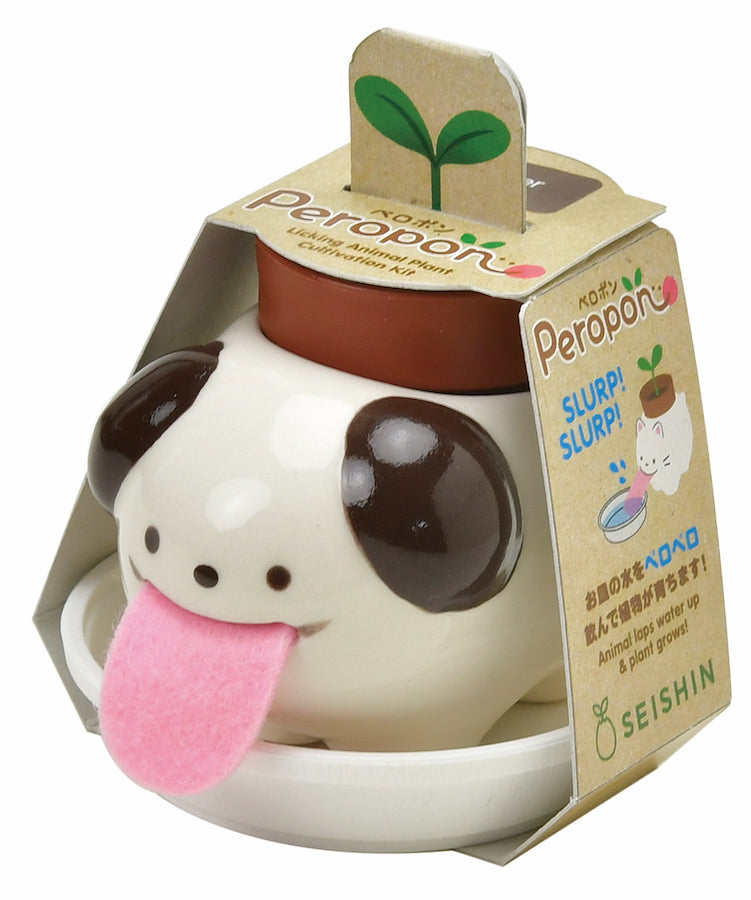Peropon - chat basilic