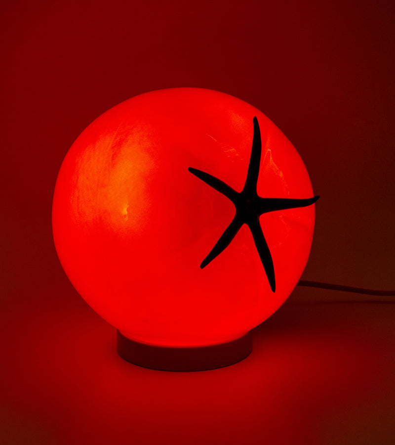 Lampe tomate à poser ou suspendre