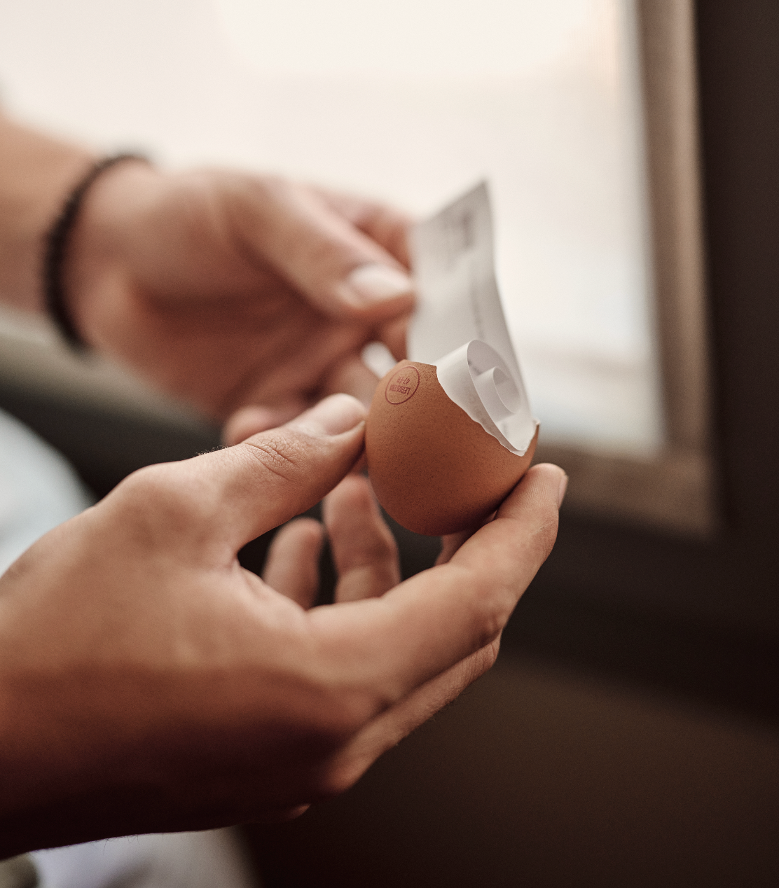 annonce insolite, un message caché dans une coquille d'oeuf - l'eggstra
